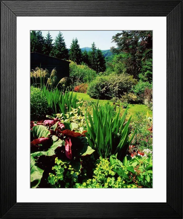 Framed Print : Valclusa Gardens, Co Wicklow, Ireland, Butterfly garden Framed Print : Valclusa Gardens, Co Wicklow, Ireland, Butterfly garden