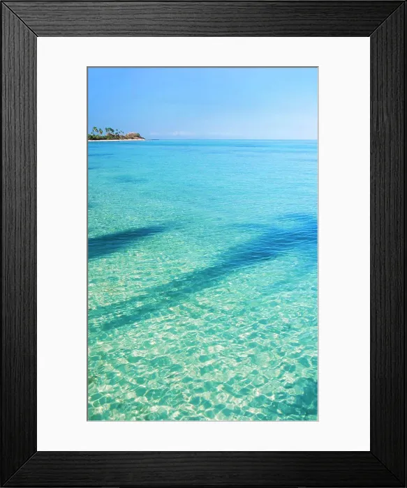 Framed Print : Shadow of palm tree in tropical water surrounding Plantation Island - Fiji Framed Print : Shadow of palm tree in tropical water surrounding Plantation Island - Fiji
