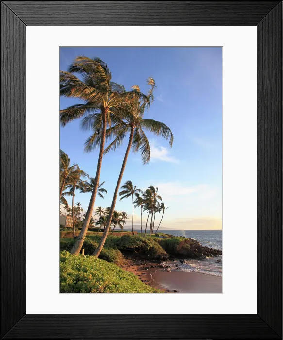 Framed Print : Hawaii, Maui, Wailea, beach