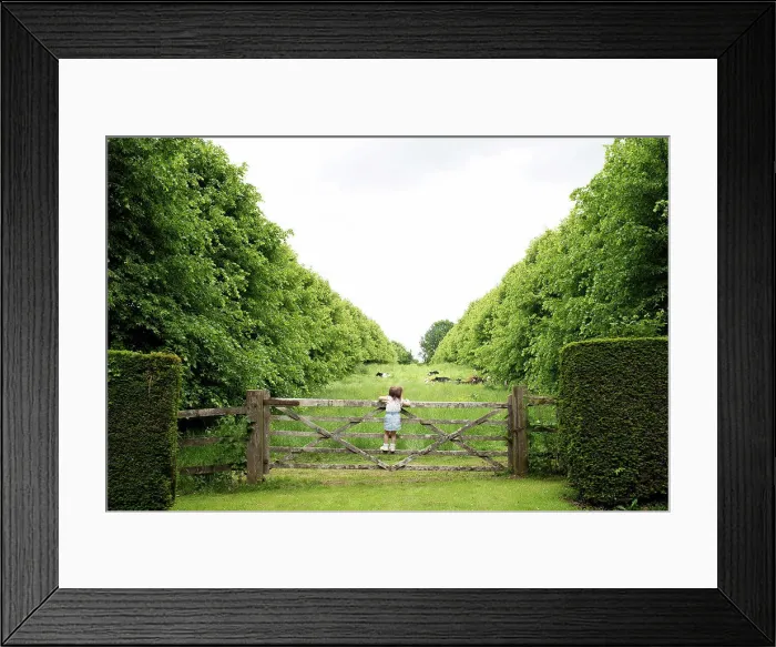 Framed Print : toddler climbing a gate in the countryside to look at a field of cows Framed Print : toddler climbing a gate in the countryside to look at a field of cows