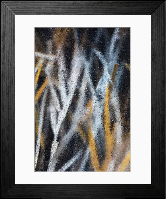 Framed Print : Ice-locked reed in the floodplains of river Turiec in Slovakia Framed Print : Ice-locked reed in the floodplains of river Turiec in Slovakia