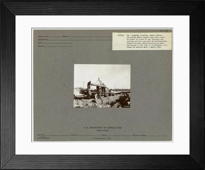 Framed Print : Logging: Loading Logs - Rhode Island Framed Print : Logging: Loading Logs - Rhode Island