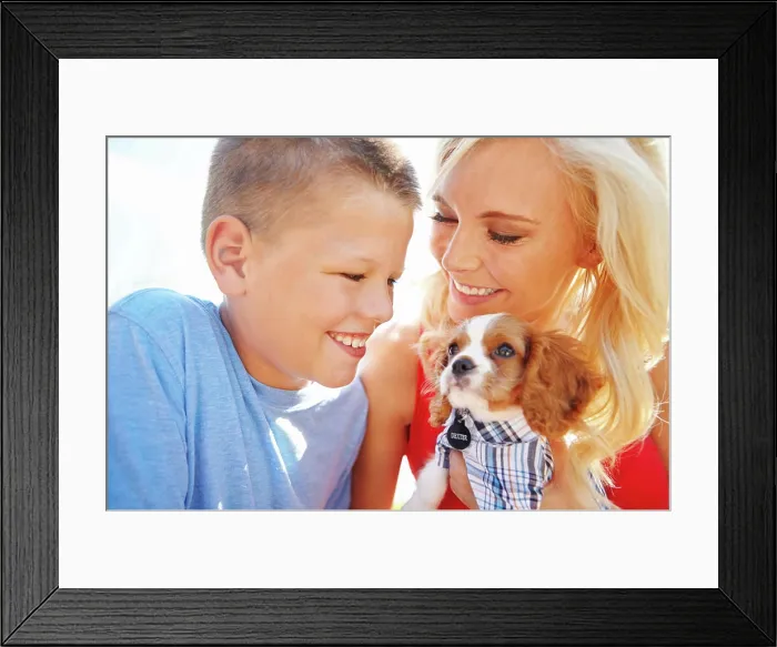 Framed Print : Puppy, care and trust with family in park for pet training