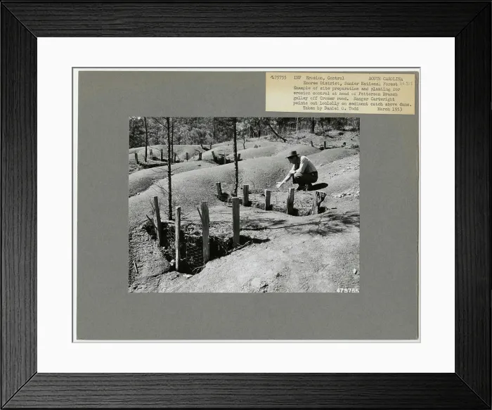 Framed Print : Erosion Control: Other - South Carolina Framed Print : Erosion Control: Other - South Carolina