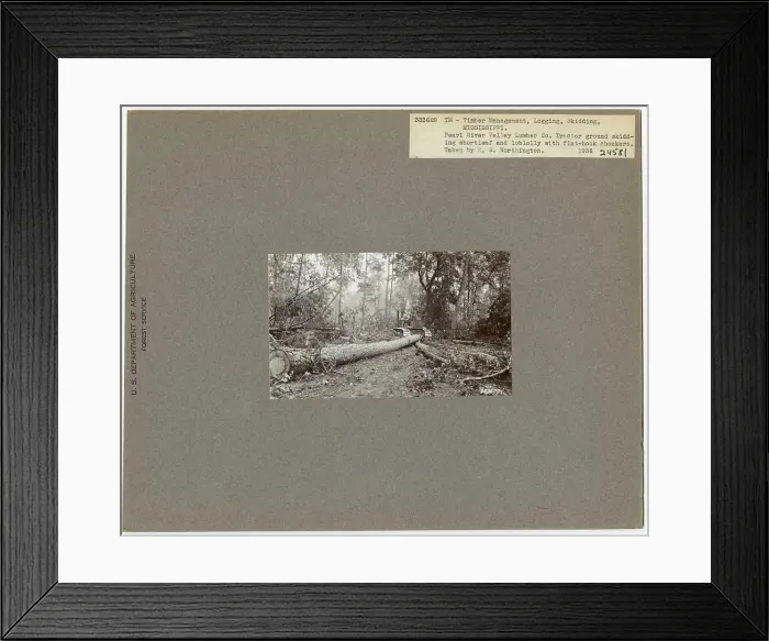 Framed Print : Logging: Skidding with Tractors - Mississippi Framed Print : Logging: Skidding with Tractors - Mississippi