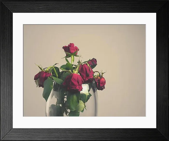 Framed Print : Withered bouquet of red roses in a glass vase with space for text Framed Print : Withered bouquet of red roses in a glass vase with space for text