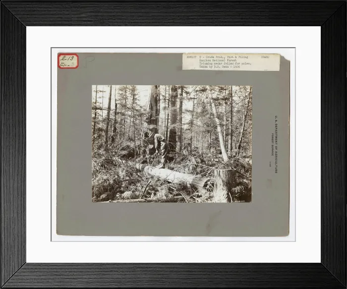 Framed Print : Crude Products: Ties and Mine Props Framed Print : Crude Products: Ties and Mine Props