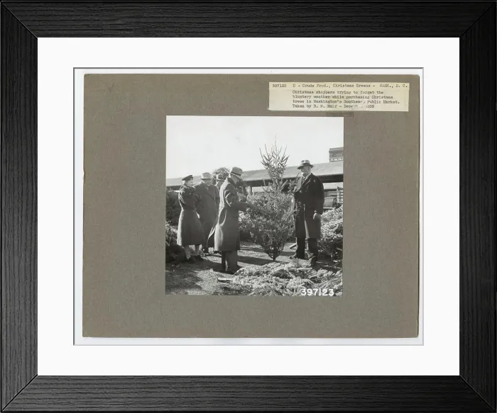 Framed Print : Crude Products: Christmas Greens - District of Columbia