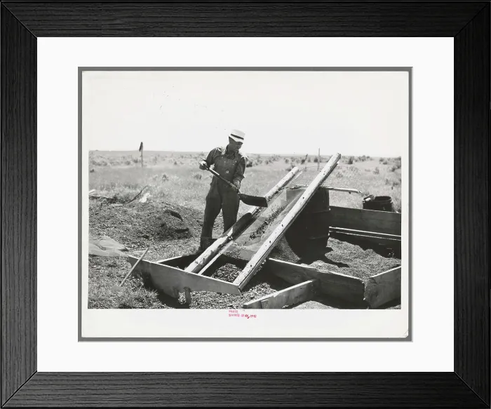 Framed Print : Mr. Browning screening coal which he has salvaged Framed Print : Mr. Browning screening coal which he has salvaged