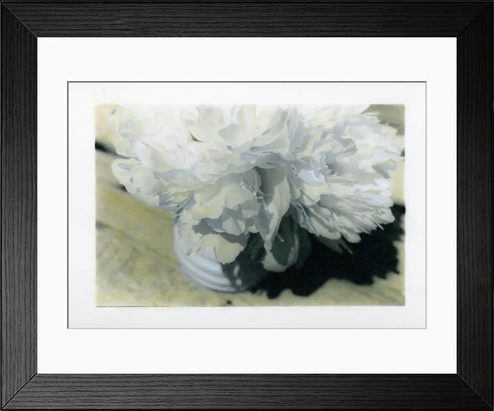 Framed Print : Painted photograph of a peony bouquet on photographic barite paper Framed Print : Painted photograph of a peony bouquet on photographic barite paper