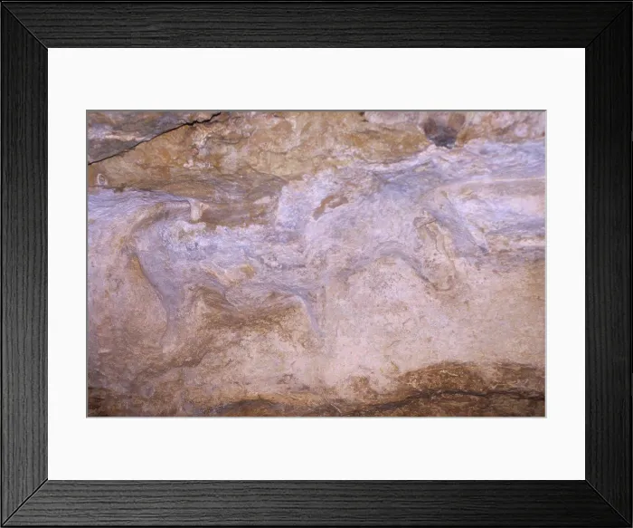 Framed Print : France, Dordogne Area, Abri Du Cap Blanc, Prehistoric Cave, Carved Horse