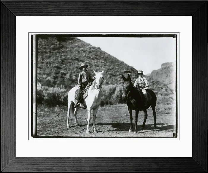 Framed Print : Family Units: General. Photographs Relating to National Forests Framed Print : Family Units: General. Photographs Relating to National Forests