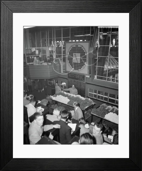 Framed Print : Anefo photo collection. Flower auction in Aalsmeer. April 26, 1960. Aalsmeer, Noord-Holland Framed Print : Anefo photo collection. Flower auction in Aalsmeer. April 26, 1960. Aalsmeer, Noord-Holland