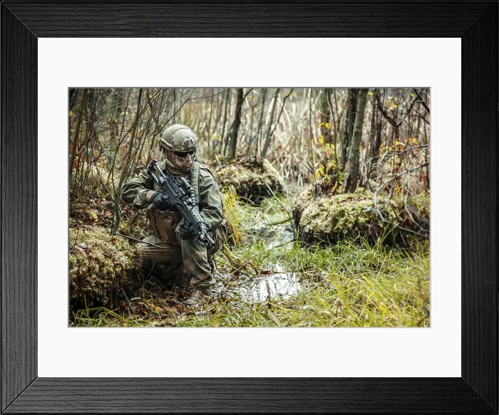 Framed Print : Norwegian Rapid reaction special forces FSK soldier kneeling in the swamp Framed Print : Norwegian Rapid reaction special forces FSK soldier kneeling in the swamp