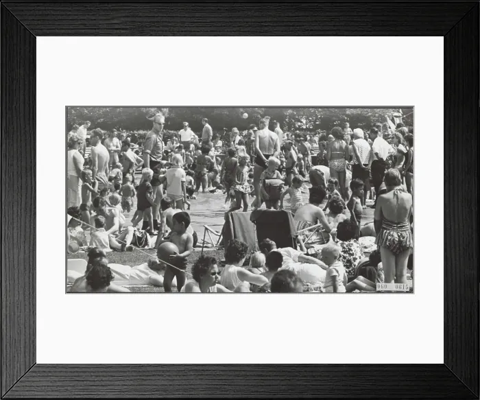 Framed Print : Elsevier photo collection. Amsterdammers bathe ponds heat wave Framed Print : Elsevier photo collection. Amsterdammers bathe ponds heat wave