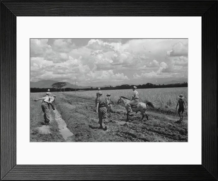 Framed Print : Photo collection Service for army contacts Indonesia Framed Print : Photo collection Service for army contacts Indonesia