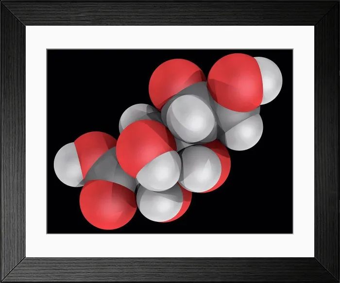 Framed Print : Gluconic acid, molecular model Framed Print : Gluconic acid, molecular model