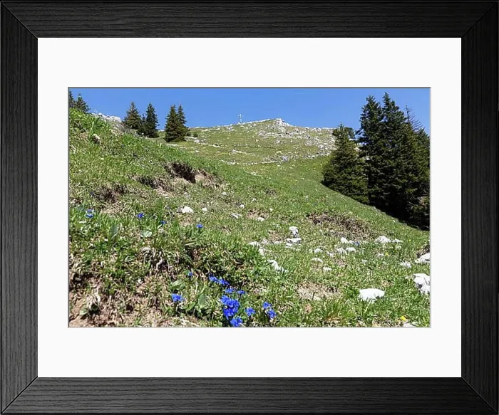 Framed Print : The Breitenstein in the Bavarian Prealps in summer