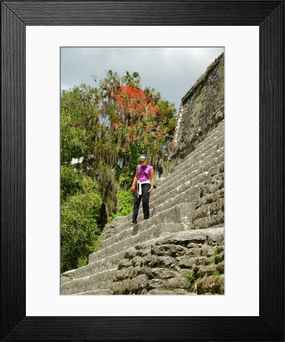 Framed Print : Central America, Guatemala, Petan jungle Framed Print : Central America, Guatemala, Petan jungle