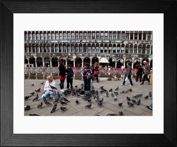 Framed Print : Tourists feeding the pigeons in Venice Italy Framed Print : Tourists feeding the pigeons in Venice Italy