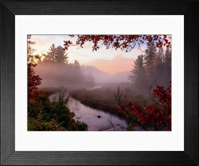 Framed Print : Mists overlying a small stream and swamp at dawn, Haliburton, Ontario, Canada Framed Print : Mists overlying a small stream and swamp at dawn, Haliburton, Ontario, Canada