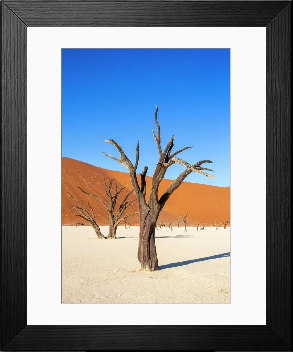 Framed Print : Deadvlei, Dead Acacia trees in an old clay pan, Namib-Naukluft National Park, Namibia