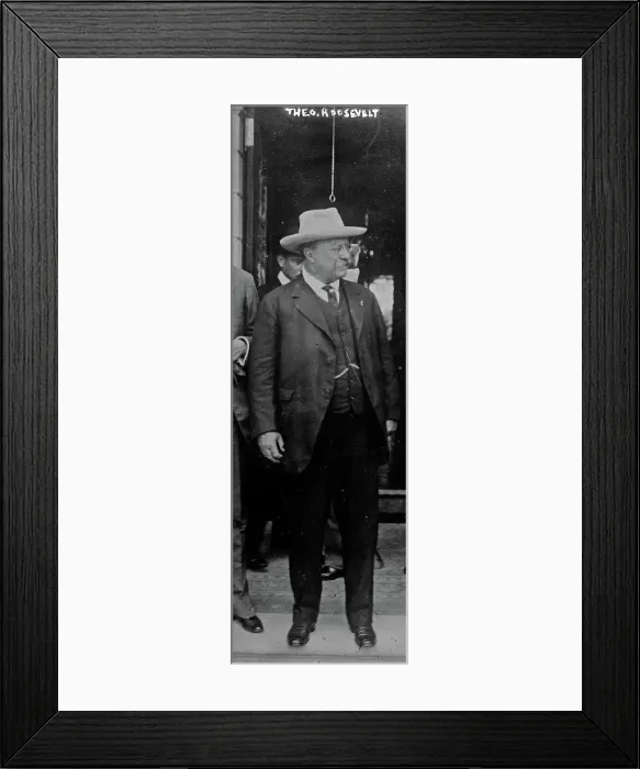 Framed Print : President Theodore Roosevelt was an American author Framed Print : President Theodore Roosevelt was an American author