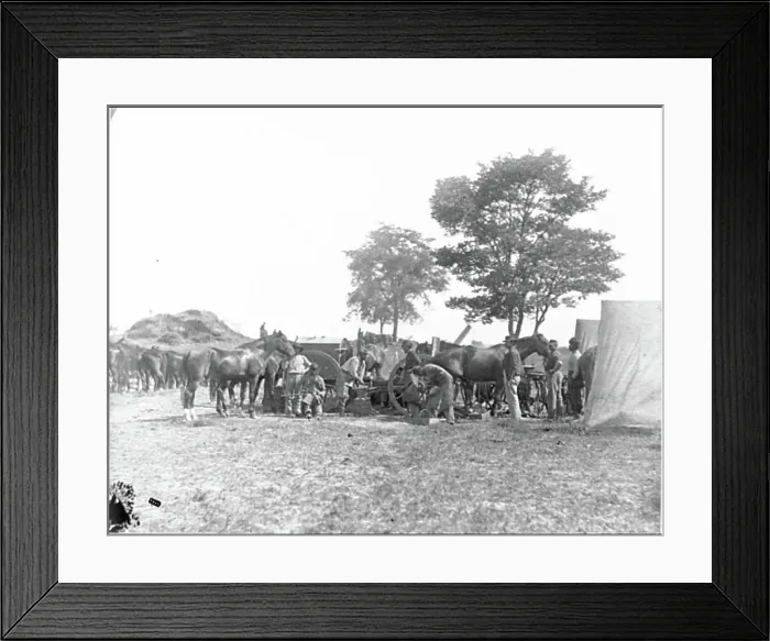Framed Print : Antietam, Md. Blacksmith shoeing horses at headquarters Framed Print : Antietam, Md. Blacksmith shoeing horses at headquarters