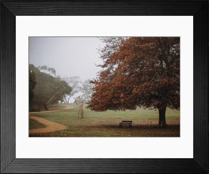 Framed Print : Park bench with colorful leaves and trees during Autumn season Framed Print : Park bench with colorful leaves and trees during Autumn season