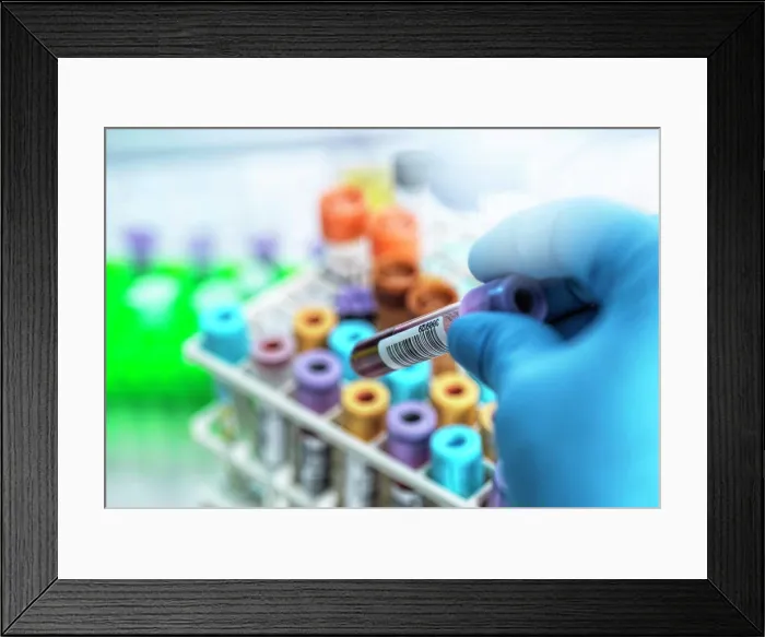 Framed Print : Medical technician preparing human samples for medical testing in lab Framed Print : Medical technician preparing human samples for medical testing in lab