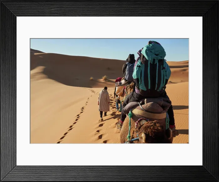Framed Print : Back view of camels and people going between sand lands in desert in Marrakesh, Morocco Framed Print : Back view of camels and people going between sand lands in desert in Marrakesh, Morocco