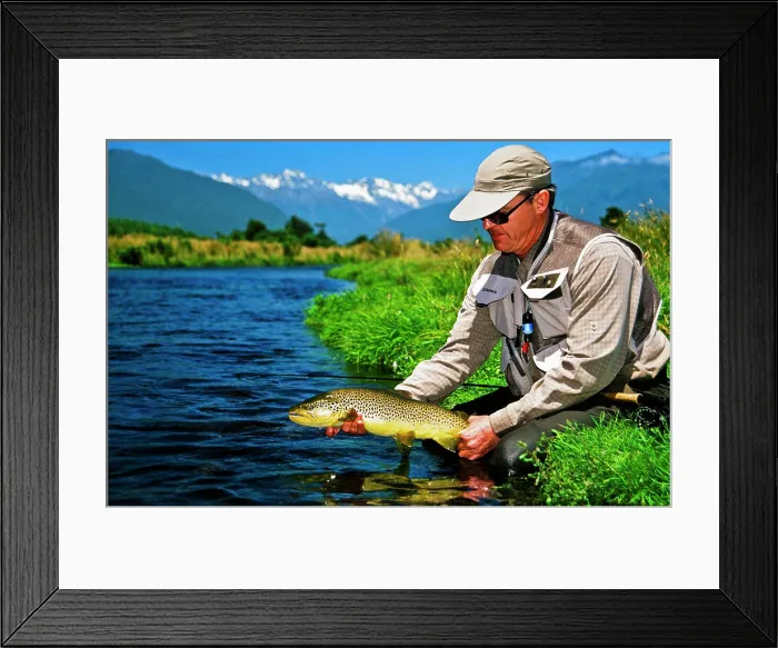 Framed Print : Man holding brown trout, Spring Creek, South Island, New Zealand Framed Print : Man holding brown trout, Spring Creek, South Island, New Zealand