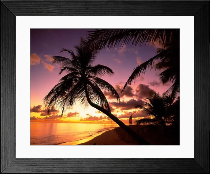 Framed Print : Tropical island with palm trees on Male Atoll in the Maldive Islands, Indian Ocean Framed Print : Tropical island with palm trees on Male Atoll in the Maldive Islands, Indian Ocean