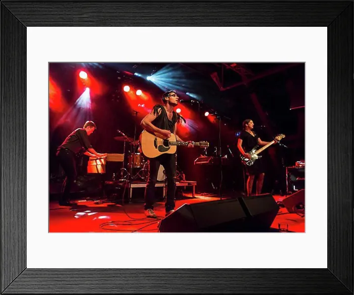 Framed Print : Swiss indie rock band My Heart Belongs To Cecilia Winter performing live in the Schueuer concert hall Framed Print : Swiss indie rock band My Heart Belongs To Cecilia Winter performing live in the Schueuer concert hall