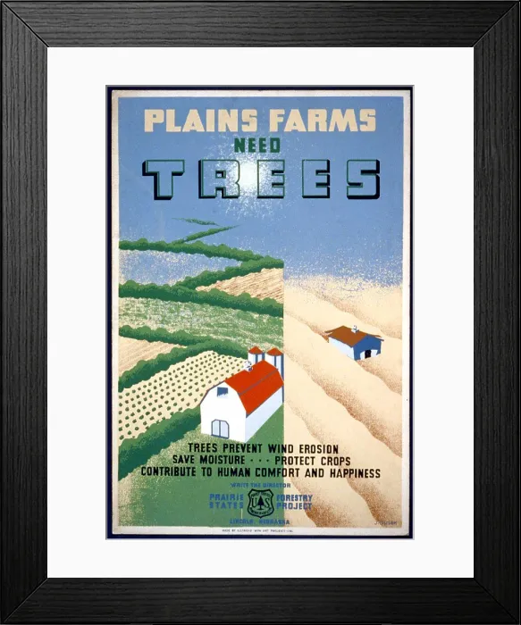 Framed Print : Plains farms need trees Trees prevent wind erosion Framed Print : Plains farms need trees Trees prevent wind erosion