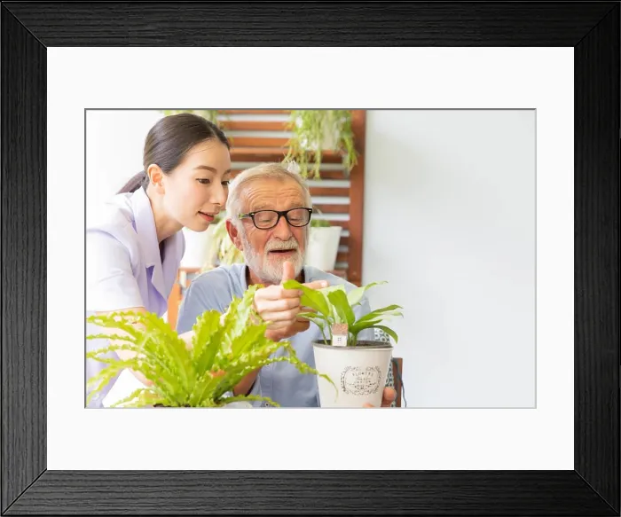 Framed Print : Senior retirement man and nurse are watering a small plant while