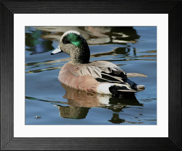 Framed Print : This image was taken at Westchester Lagoon Framed Print : This image was taken at Westchester Lagoon