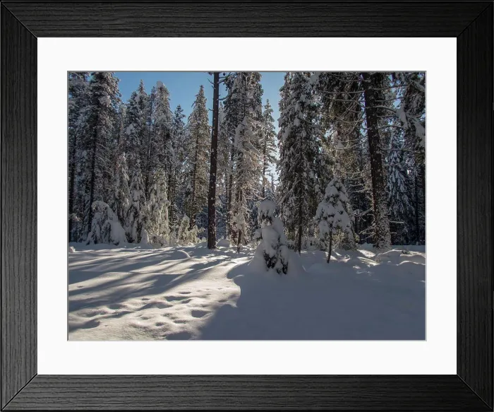 Framed Print : A winter scene with the snow-covered forest at Lake Wenatchee State Park in eastern Washington State, USA Framed Print : A winter scene with the snow-covered forest at Lake Wenatchee State Park in eastern Washington State, USA