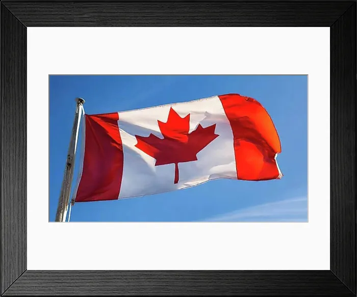 Framed Print : The flag of Canada flutters in the wind, isolated against a blue sky Framed Print : The flag of Canada flutters in the wind, isolated against a blue sky