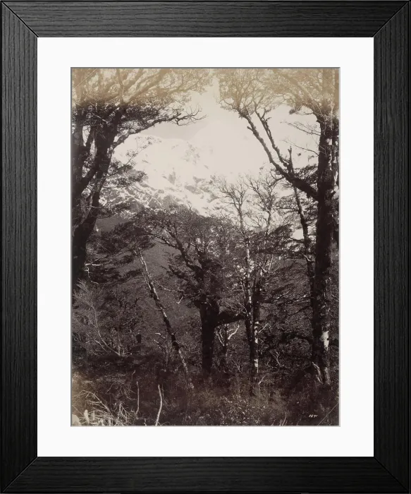 Framed Print : Mount Rolleston, 1880s, by Burton Brothers Framed Print : Mount Rolleston, 1880s, by Burton Brothers