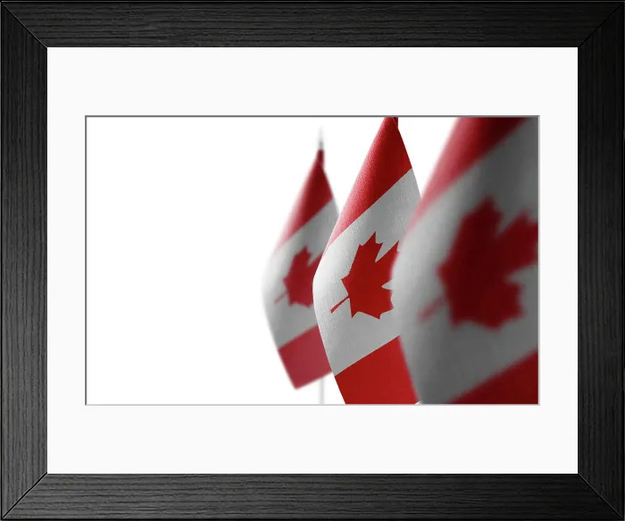 Framed Print : Small national flags of the Canada on a white background Small national flags of the Canada on a white background Framed Print : Small national flags of the Canada on a white background Small national flags of the Canada on a white background