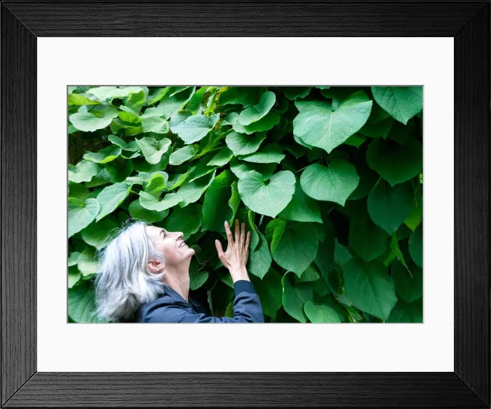 Framed Print : A gray-haired woman holds on to a wall of sheets, looks up and laughs Framed Print : A gray-haired woman holds on to a wall of sheets, looks up and laughs
