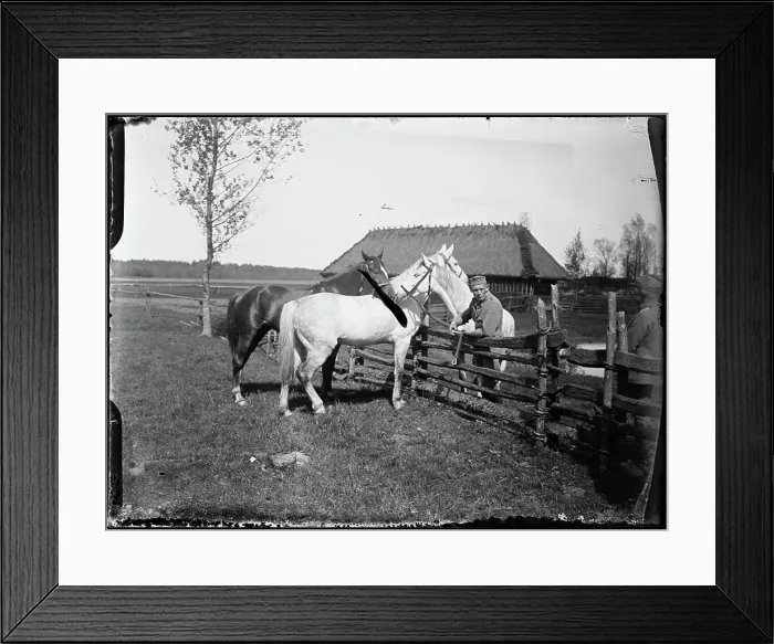 Framed Print : Horses of the 2nd Uhlans Regiment (II). Front of the Polish Legions in Volhynia. Janowski, Stanisław (1866 1942) Framed Print : Horses of the 2nd Uhlans Regiment (II). Front of the Polish Legions in Volhynia. Janowski, Stanisław (1866 1942)
