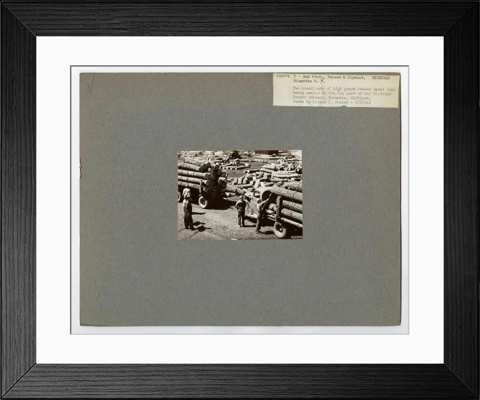 Framed Print : Veneer and Plywood Making - Michigan Framed Print : Veneer and Plywood Making - Michigan