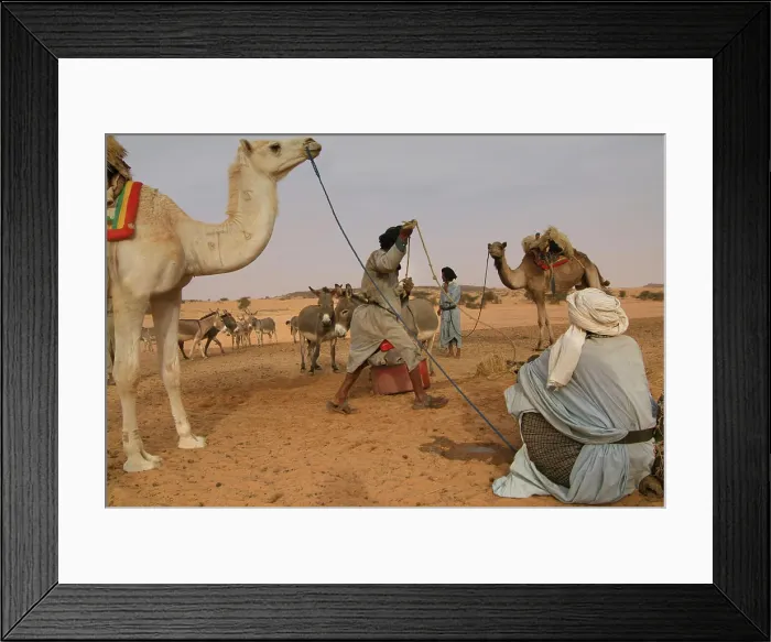 Framed Print : Mauritania, Rachid, Wadi Rachid, Nomads and dromedaries at the well Framed Print : Mauritania, Rachid, Wadi Rachid, Nomads and dromedaries at the well