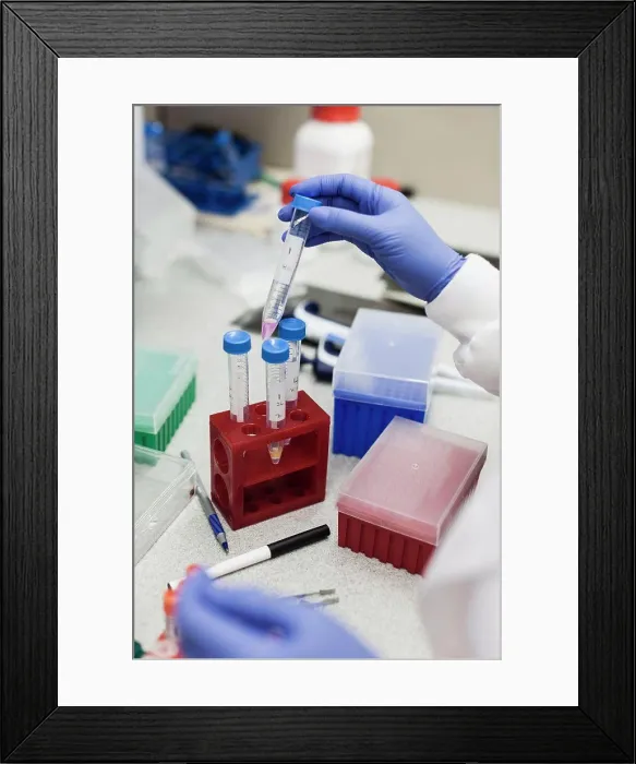 Framed Print : Cropped image of scientist holding test tube at table in laboratory Framed Print : Cropped image of scientist holding test tube at table in laboratory