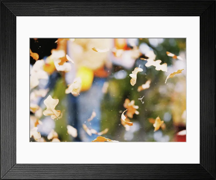 Framed Print : Leaf blowing clean up in action for fall season lifestyle