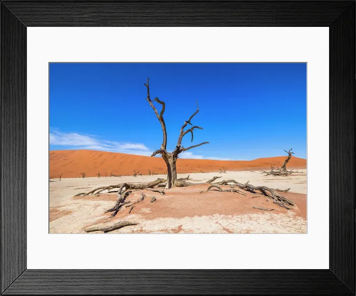 Framed Print : Dead trees in wide landscape of the Deadvlei (white salt-clay pan), Sossusvlei, Sesriem, Namibia Framed Print : Dead trees in wide landscape of the Deadvlei (white salt-clay pan), Sossusvlei, Sesriem, Namibia