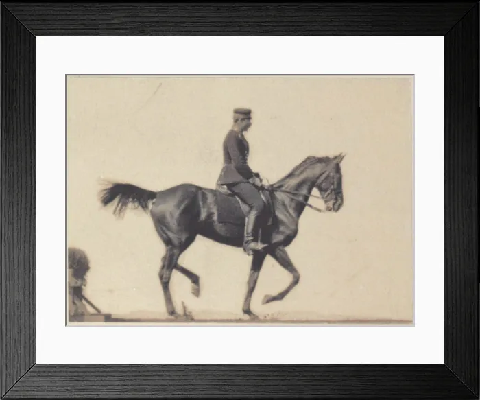 Framed Print : Platinotype print depicting a show rider on horseback in motion, mounted on two cardboard supports, created circa 1890 Framed Print : Platinotype print depicting a show rider on horseback in motion, mounted on two cardboard supports, created circa 1890
