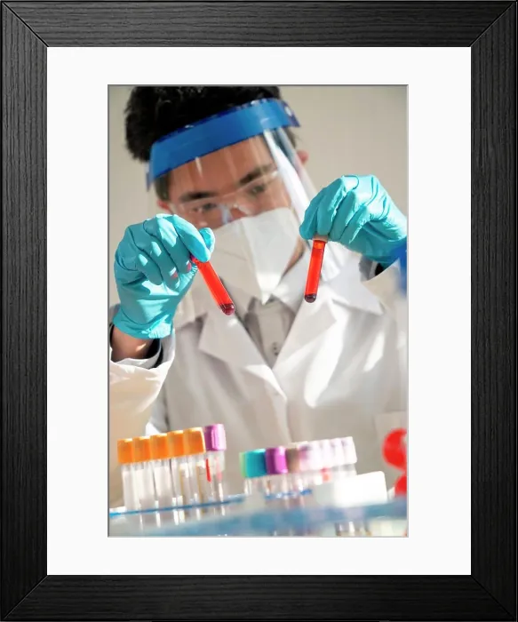 Framed Print : Laboratory technician performing blood tests in the laboratory Framed Print : Laboratory technician performing blood tests in the laboratory